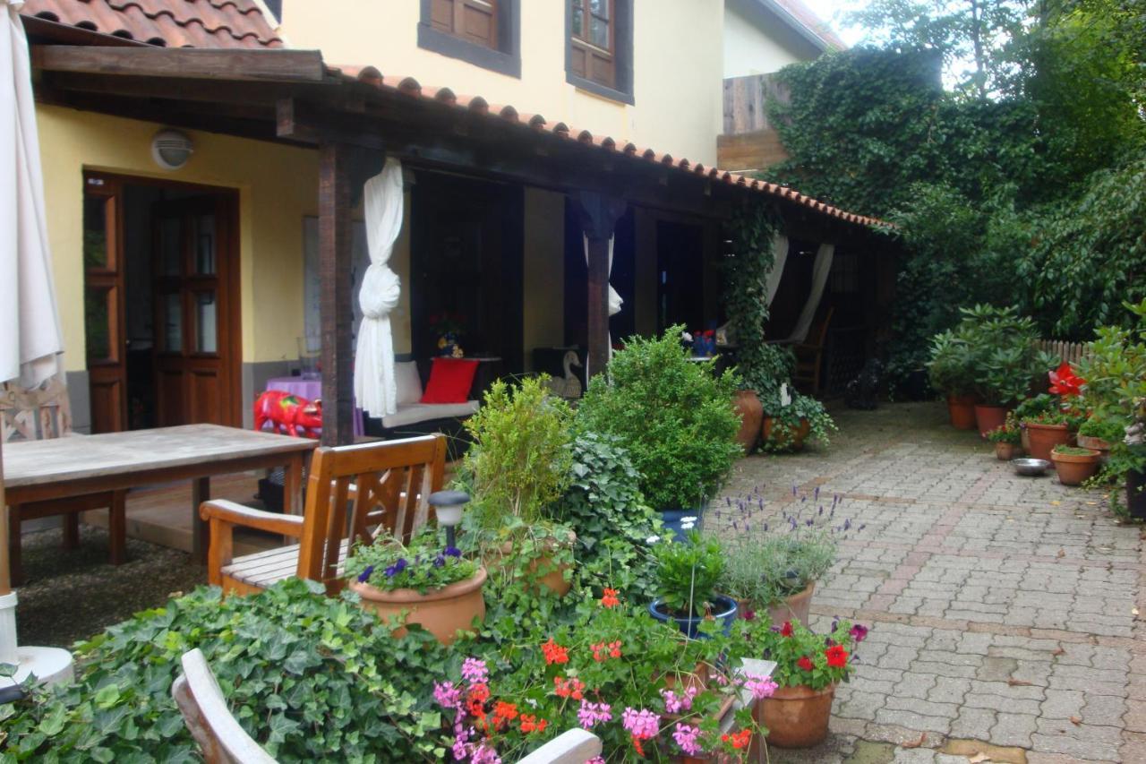 Apartement de vacances Alsace - Ferienwohnung Elsaß - Holiday apartment Alsace Bischwiller Exterior foto